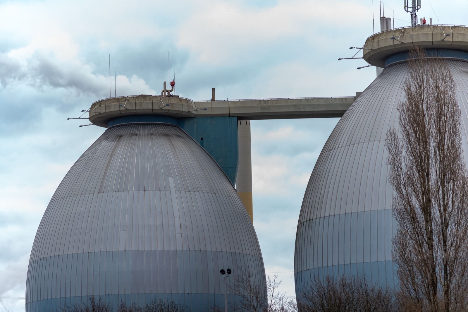 Mikroskopische Aufnahme der Mikroorganismen im Faulturm während der anaeroben Vergärung